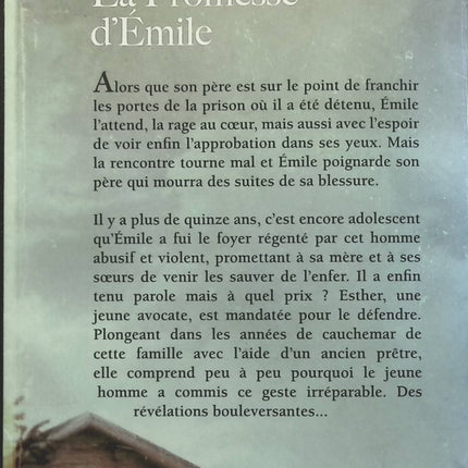 Someone Good - Françoise Bourdin - book
