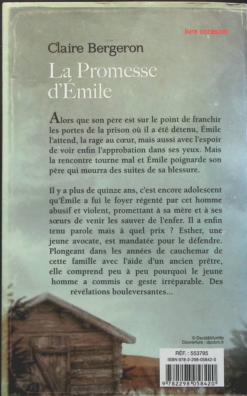 Someone Good - Françoise Bourdin - book