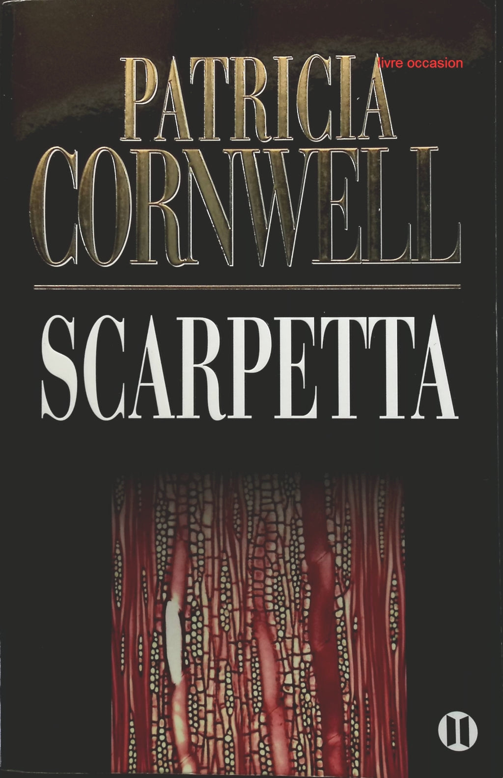 Someone Good - Françoise Bourdin - book