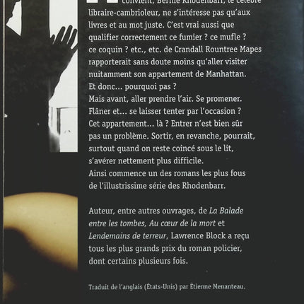 Someone Good - Françoise Bourdin - book