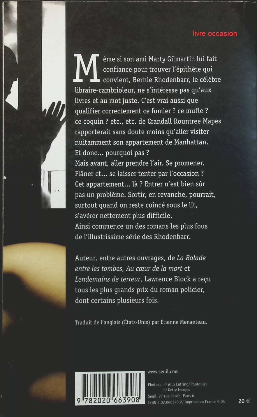 Someone Good - Françoise Bourdin - book