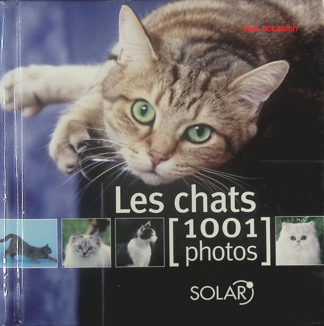 Les chats : 1001 Photos - Yves Lanceau - Livre