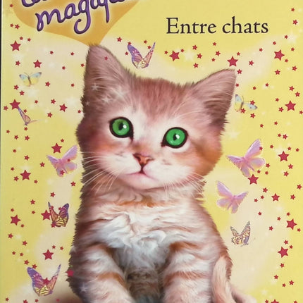 Les Chatons Magiques - Tome 3 - Entre Chats - Sue Bentley - livre