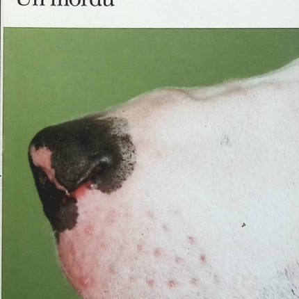 Un mordu - Raymond Chandler - Livre