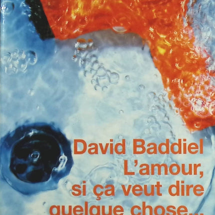 L'Amour, si ça veut dire quelque chose - David Baddiel - Livre