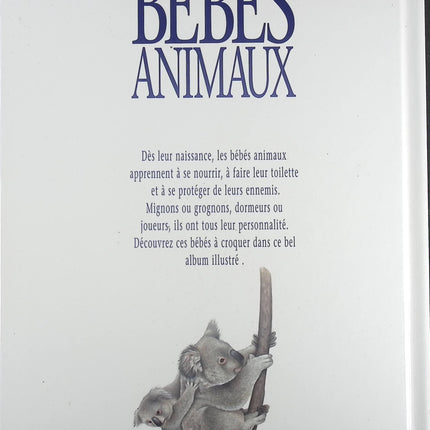 Bébés Animaux - Liza Bailey - Livre