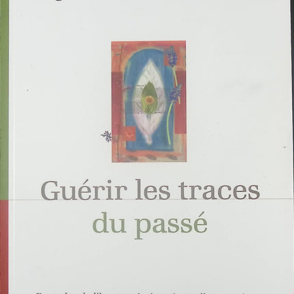 Guérir les traces du passé : En quête de l'harmonie émotionnelle au présent - Ingeborg Bosch Bonomo - Livre