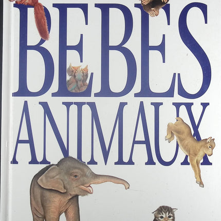 Bébés Animaux - Liza Bailey - Livre