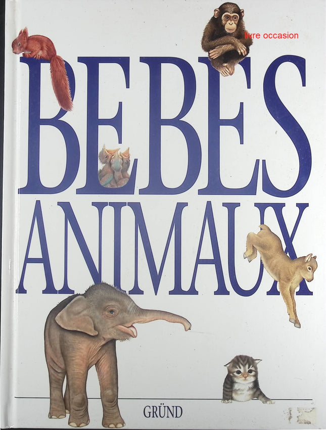 Bébés Animaux - Liza Bailey - Livre