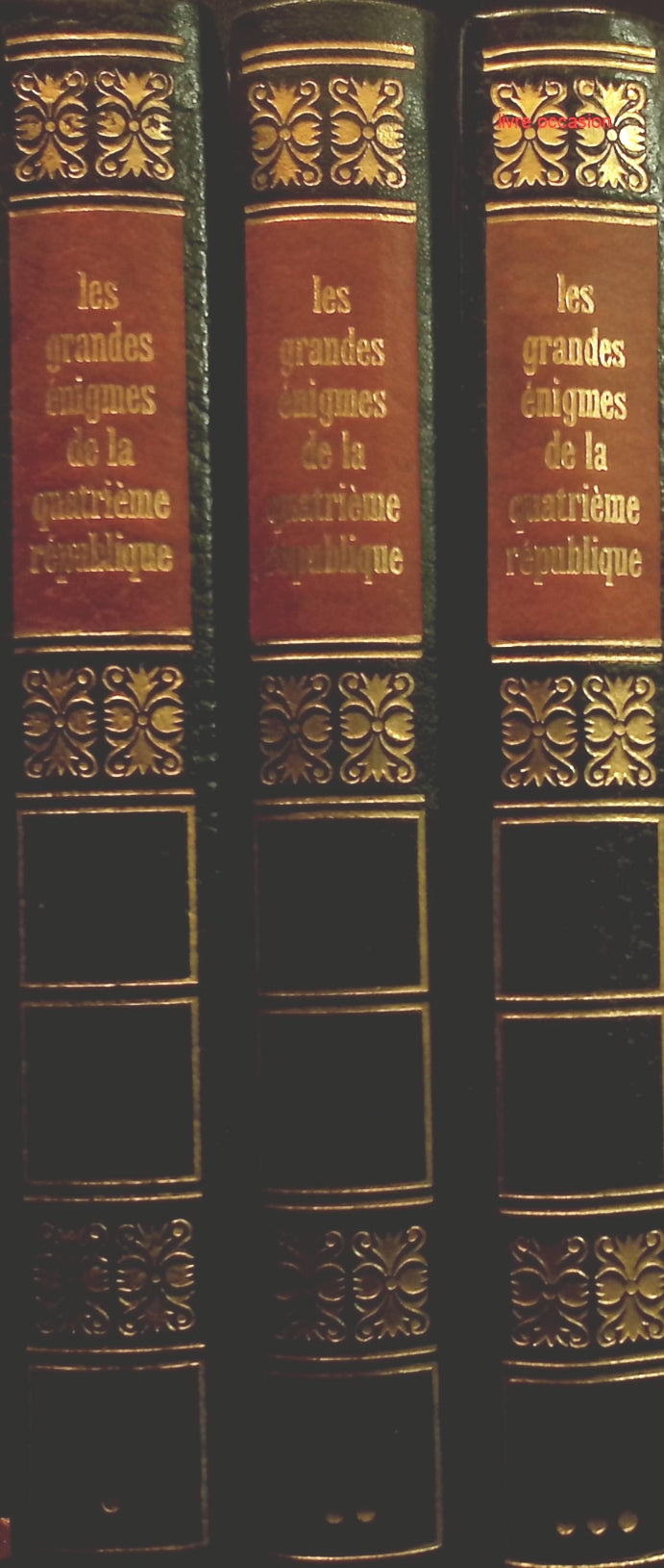 Someone Good - Françoise Bourdin - book