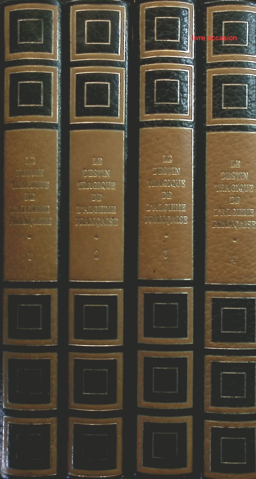 Someone Good - Françoise Bourdin - book