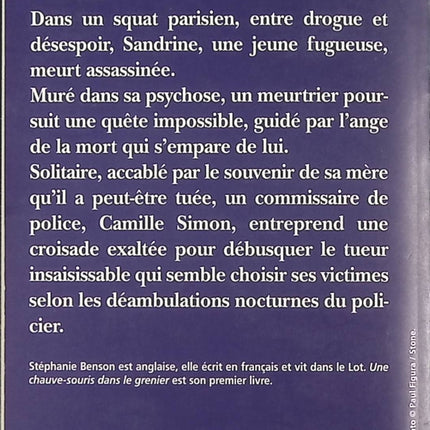 Une chauve-souris dans le grenier - Stéphanie Benson - Livre