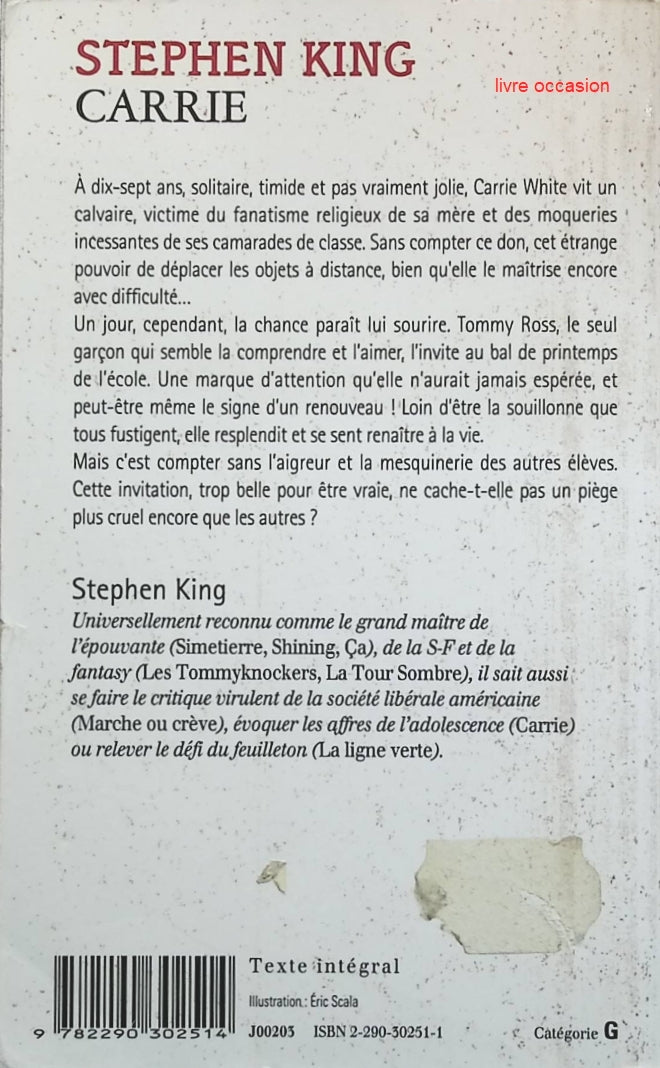 Someone Good - Françoise Bourdin - book