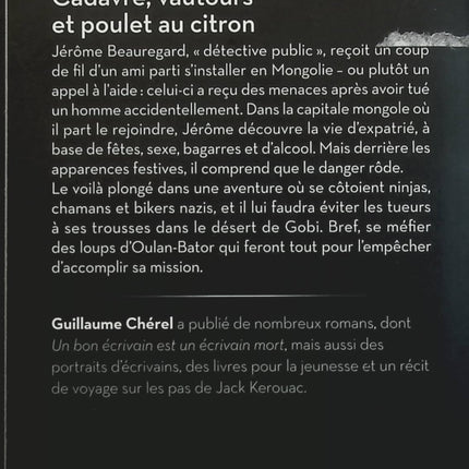 Someone Good - Françoise Bourdin - book