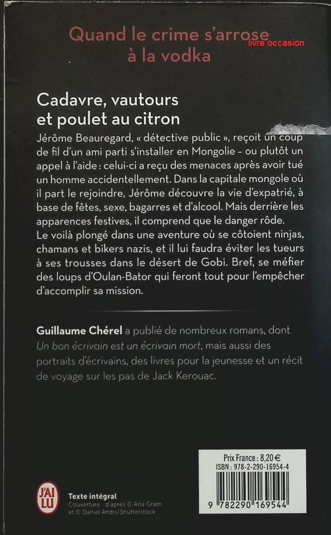 Someone Good - Françoise Bourdin - book