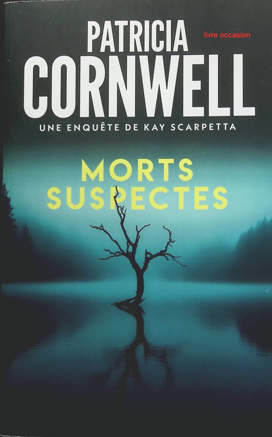 Someone Good - Françoise Bourdin - book