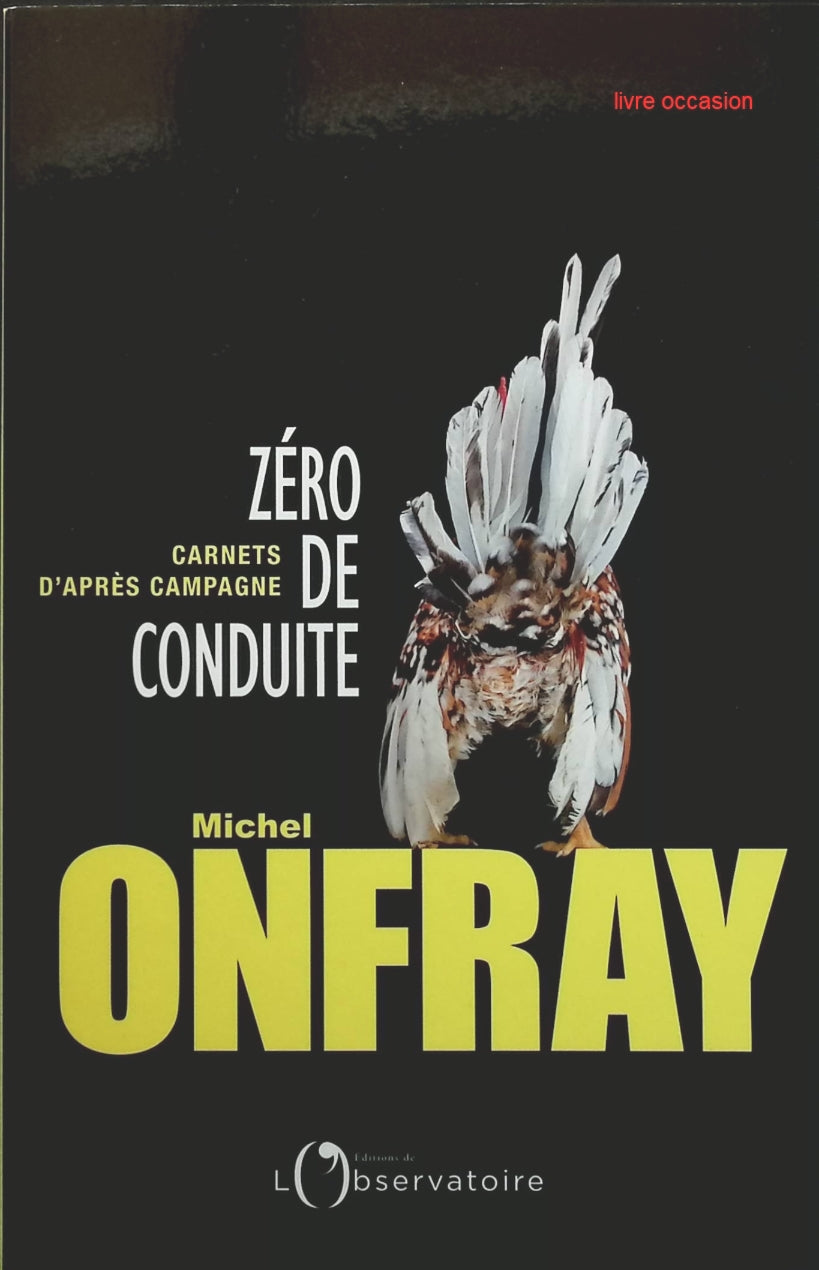 Someone Good - Françoise Bourdin - book