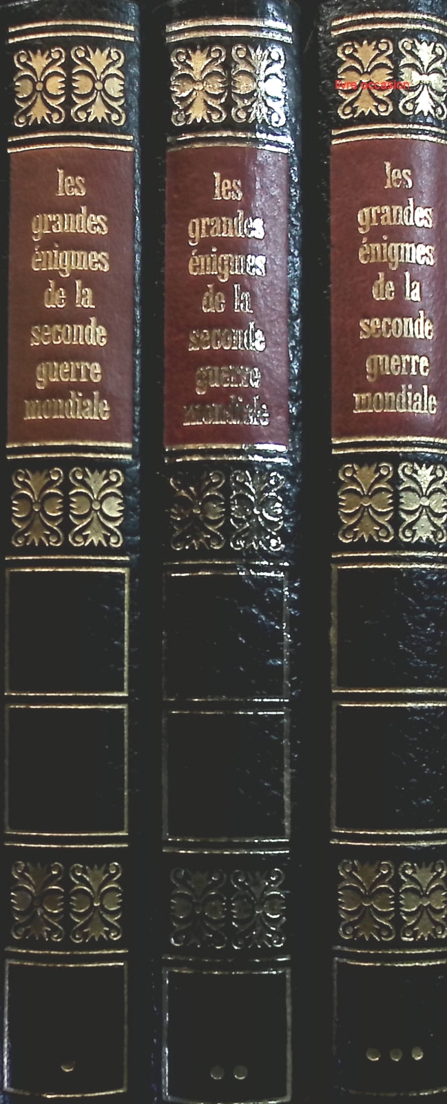 Someone Good - Françoise Bourdin - book