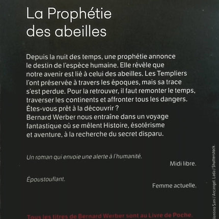 Das magische Baumhaus, Band 4 – Piratenschatz – Mary Pope Osborne – Buch