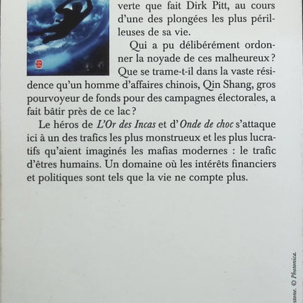 Someone Good - Françoise Bourdin - book