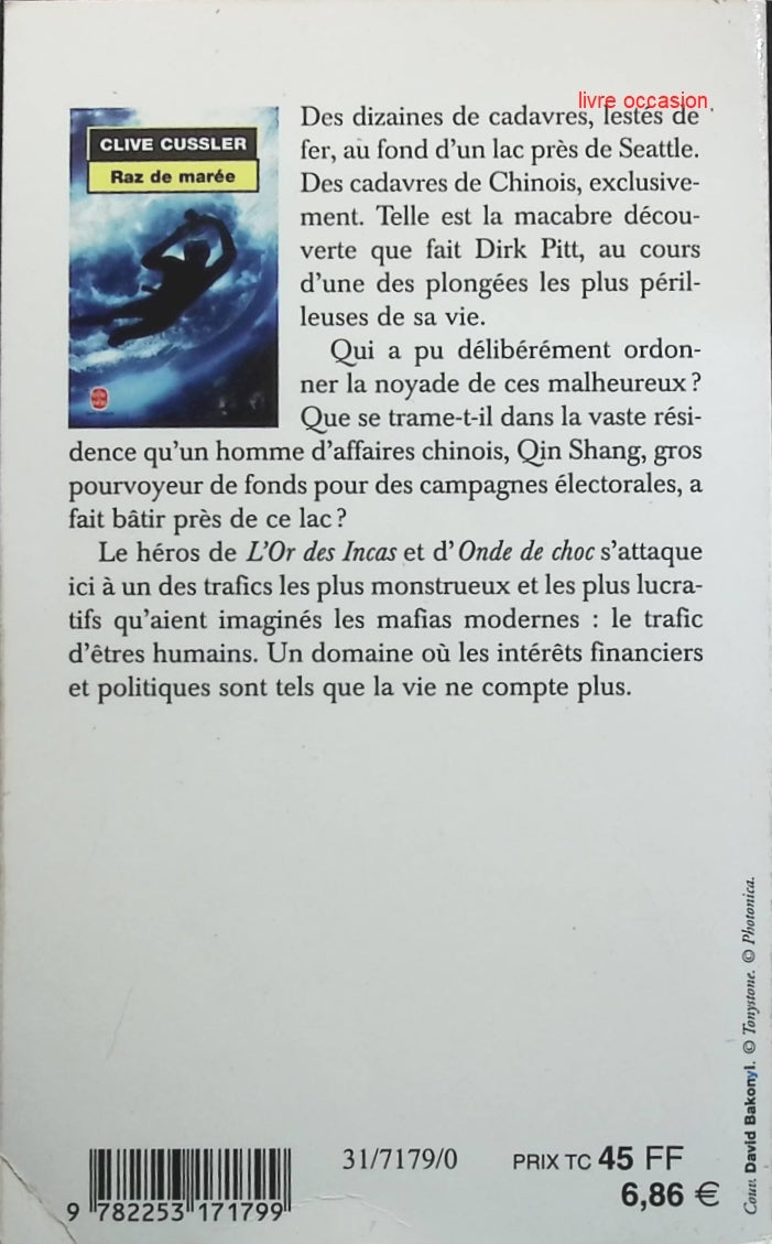 Someone Good - Françoise Bourdin - book