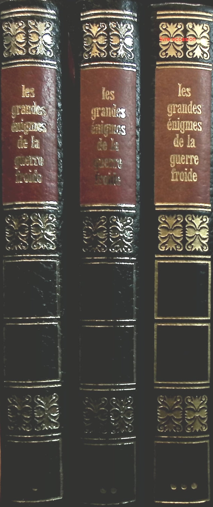 Someone Good - Françoise Bourdin - book