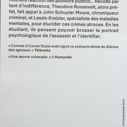 Someone Good - Françoise Bourdin - book