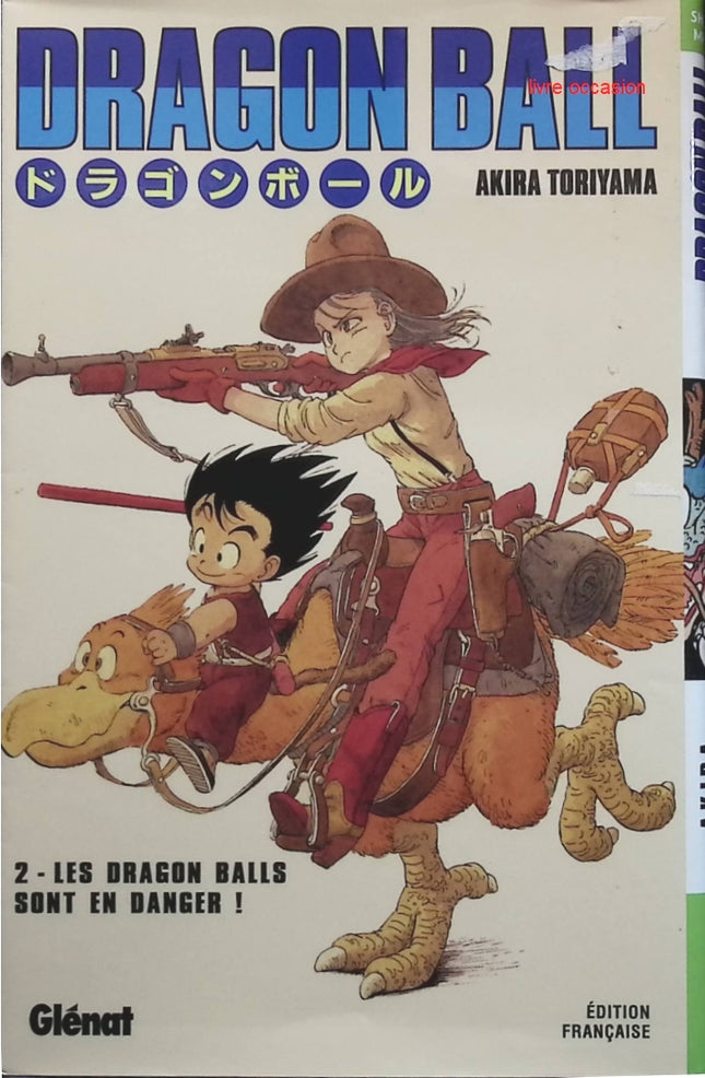 Someone Good - Françoise Bourdin - book