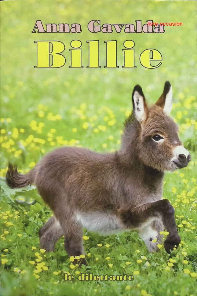 Billie - Anna Gavalda - livre