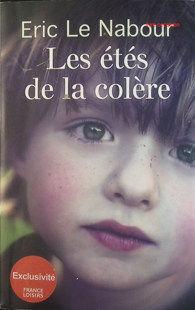 Les étés de la colère - Eric Le Nabour - Livre