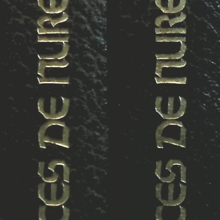 Jemand Gutes – Françoise Bourdin – Buch