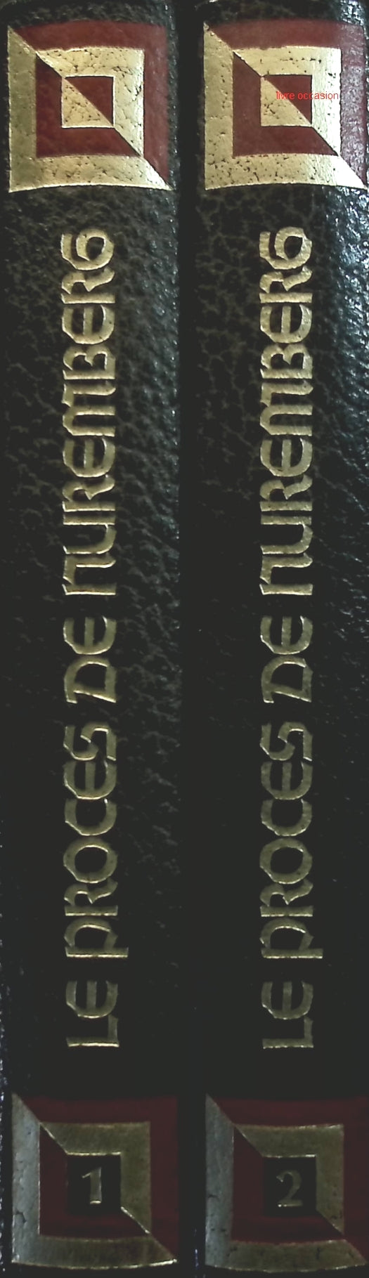 Someone Good - Françoise Bourdin - book