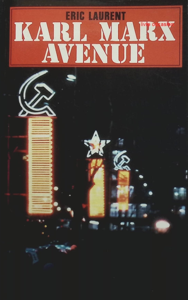 Someone Good - Françoise Bourdin - book