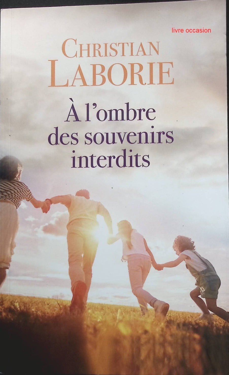 Someone Good - Françoise Bourdin - book