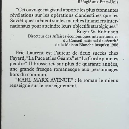 Someone Good - Françoise Bourdin - book