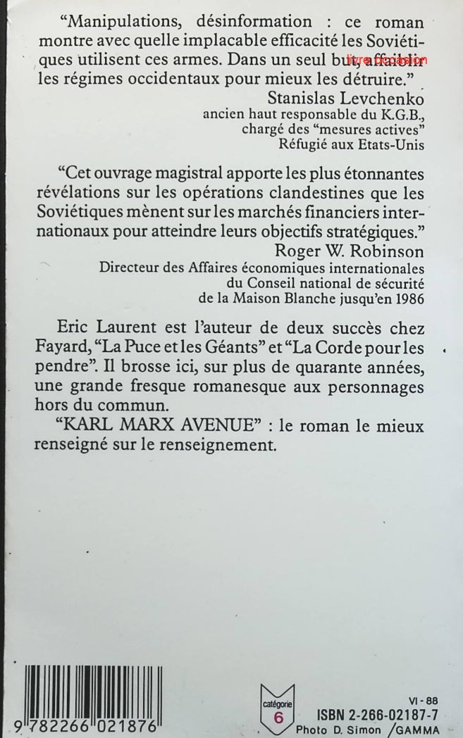 Someone Good - Françoise Bourdin - book