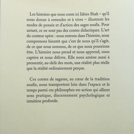 Das magische Baumhaus, Band 4 – Piratenschatz – Mary Pope Osborne – Buch