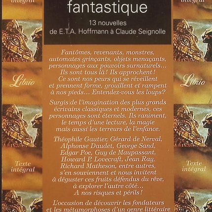 La dimension fantastique - Barbara Sadoul - Livre