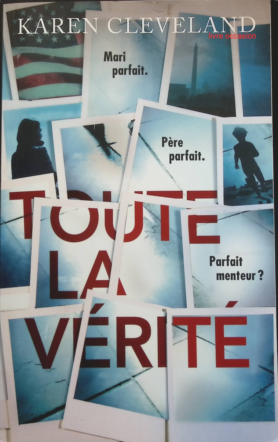 Someone Good - Françoise Bourdin - book