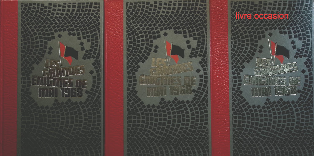 Someone Good - Françoise Bourdin - book