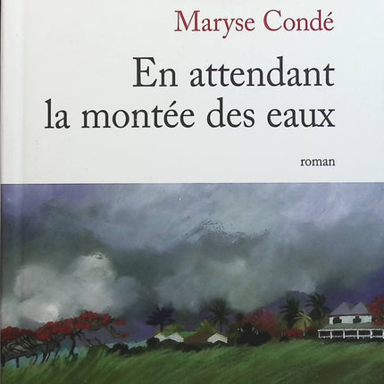 En attendant la montée des eaux - Maryse Condé - livre