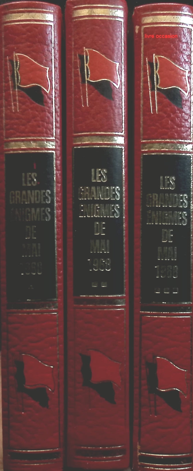 Someone Good - Françoise Bourdin - book