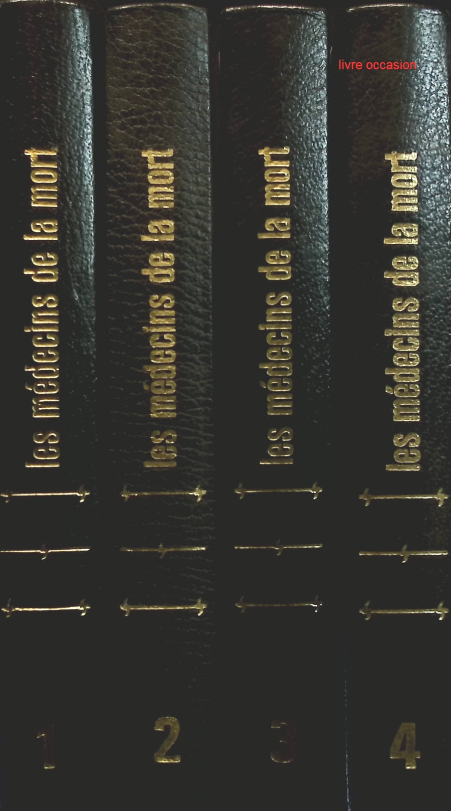 Someone Good - Françoise Bourdin - book