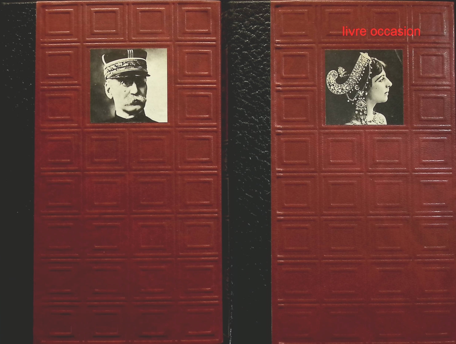 Someone Good - Françoise Bourdin - book