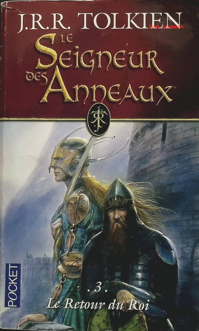 Someone Good - Françoise Bourdin - book