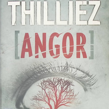 Angor - Franck Thilliez - Livre