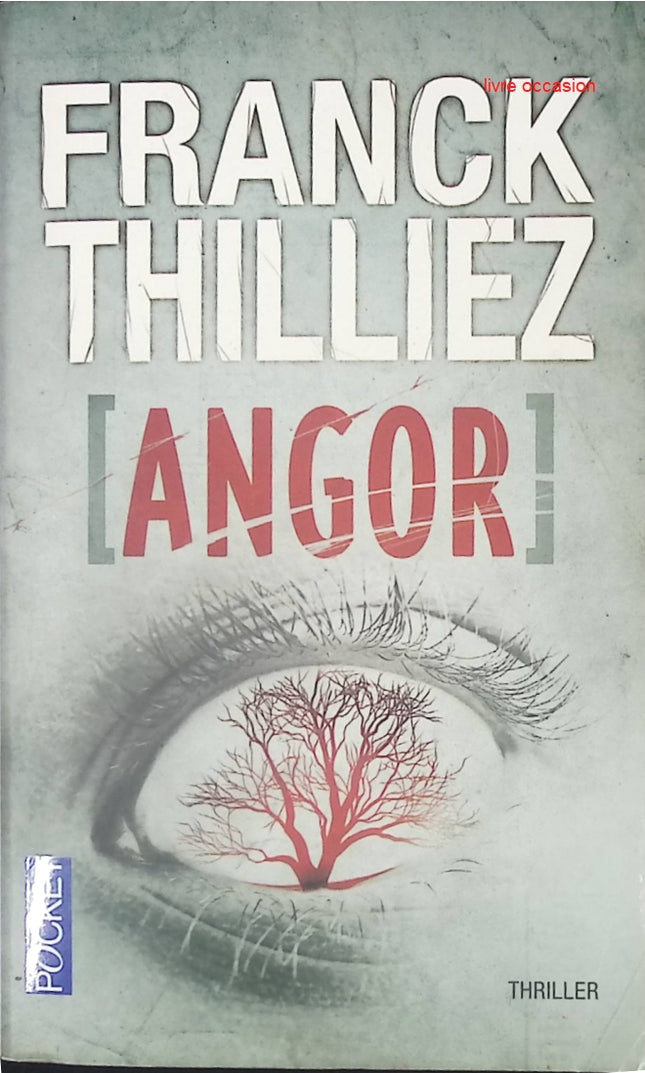 Angor - Franck Thilliez - Livre