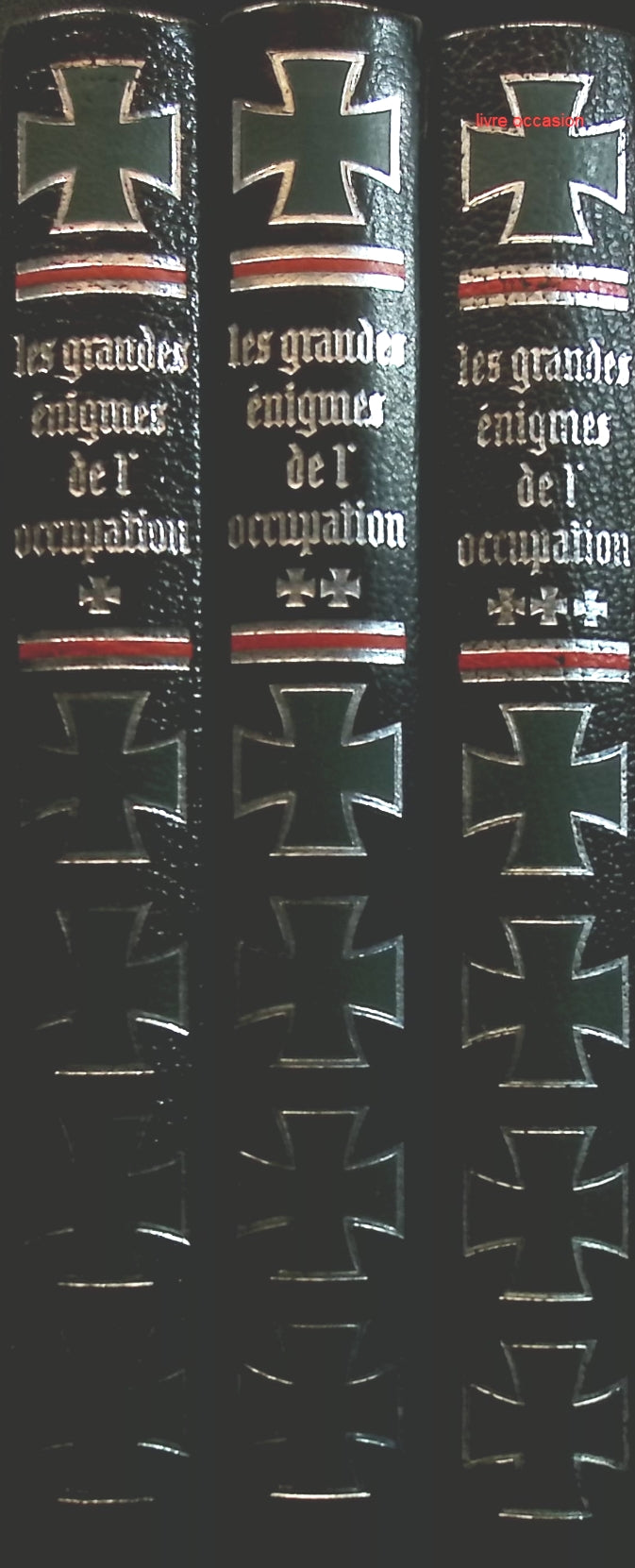 Someone Good - Françoise Bourdin - book