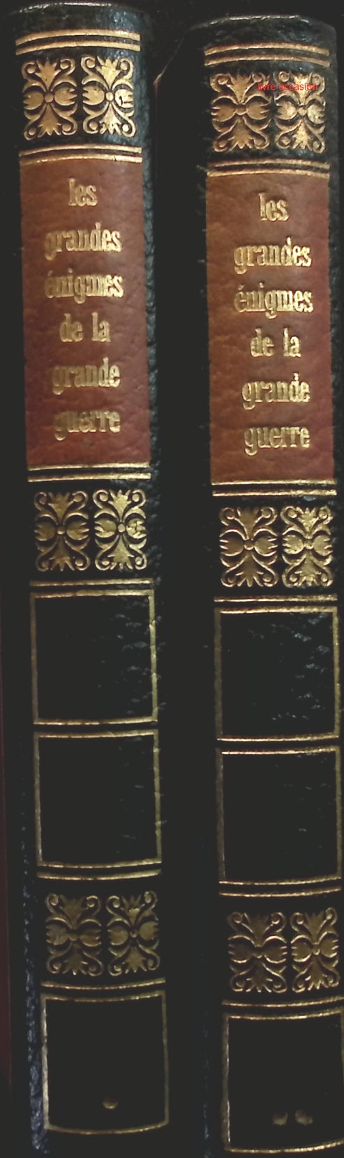 Someone Good - Françoise Bourdin - book