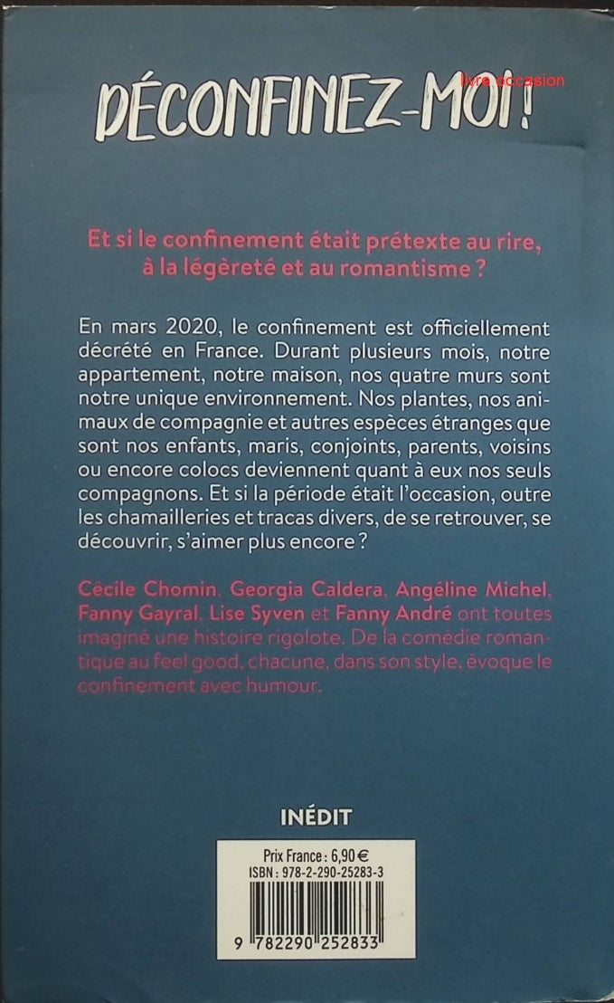 Someone Good - Françoise Bourdin - book